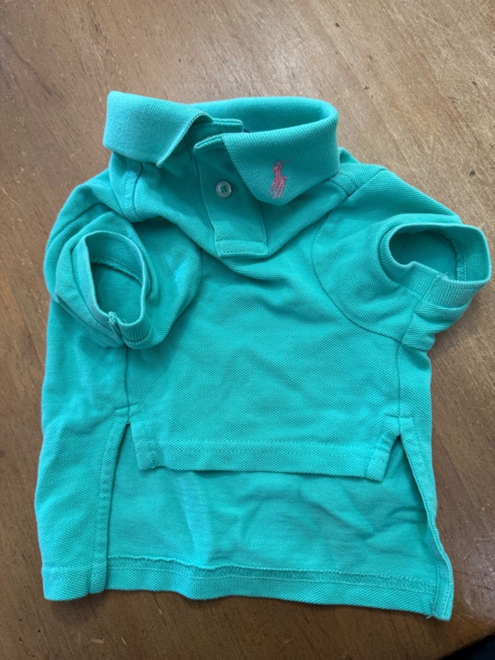 Polo by Ralph Lauren Teal Dog Polo Shirt with Pink Pony